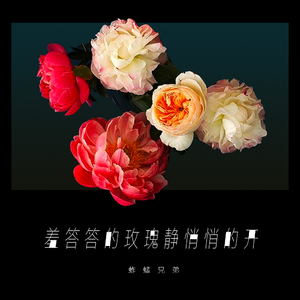 久久成人影视大全
